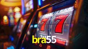Sistemas de Segurança bra55